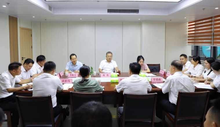 战勇副市长莅临崇左国投集团调研指导